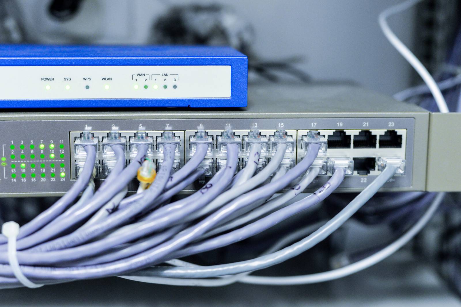 Network switch with organized patch cables, part of dental IT support for Tampa offices